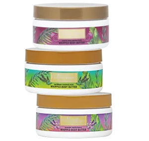 Natura Amor Whipped Body Butter 8 oz. - Various Scents